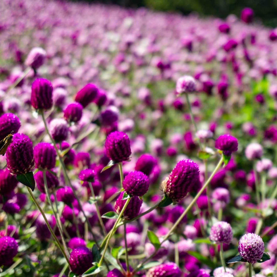 test008
