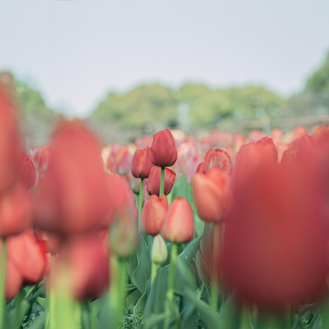 test009